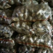 多伦土豆代收代销与商品房代购代销服务解析