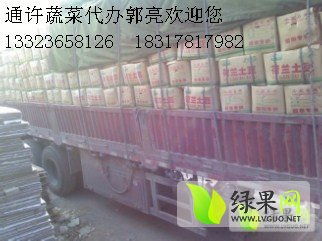 荷兰十五克新系列土豆 货源充足，专业代购代销服务