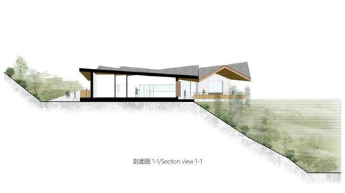 半山崖废弃鸡棚的暖心蜕变 小石村食品共享工厂与商品房代购代销的乡村振兴新实践